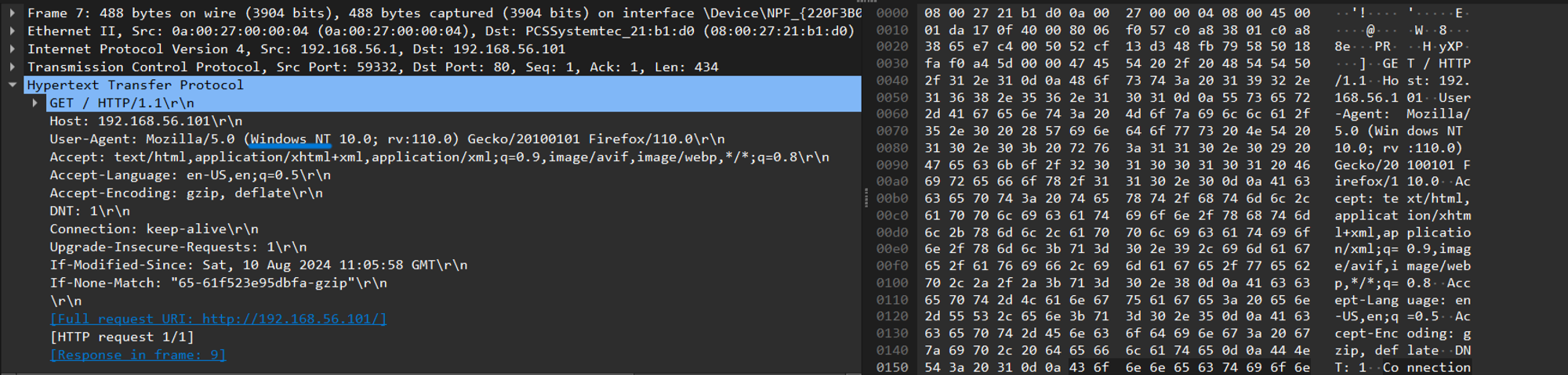 *Screenshot of HTTP GET request packet*