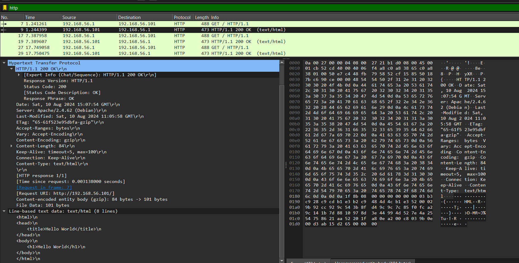 *Screenshot of HTTP response packet*