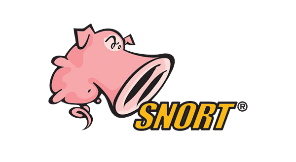 Thumbnail for Snort Rules in Action (3 Scenarios)